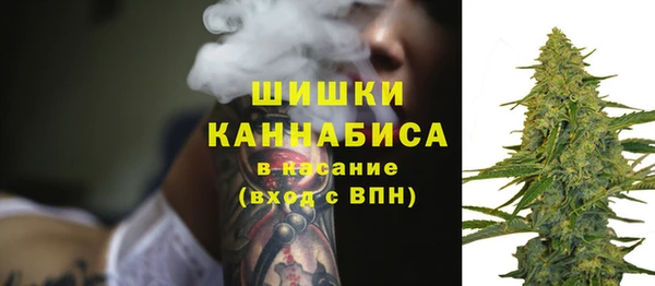 сатива Армянск