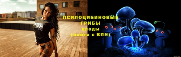а пвп мука Арсеньев