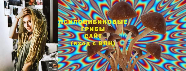 дурь Аркадак