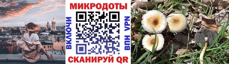 Галлюциногенные грибы мицелий  mega онион  Покачи 